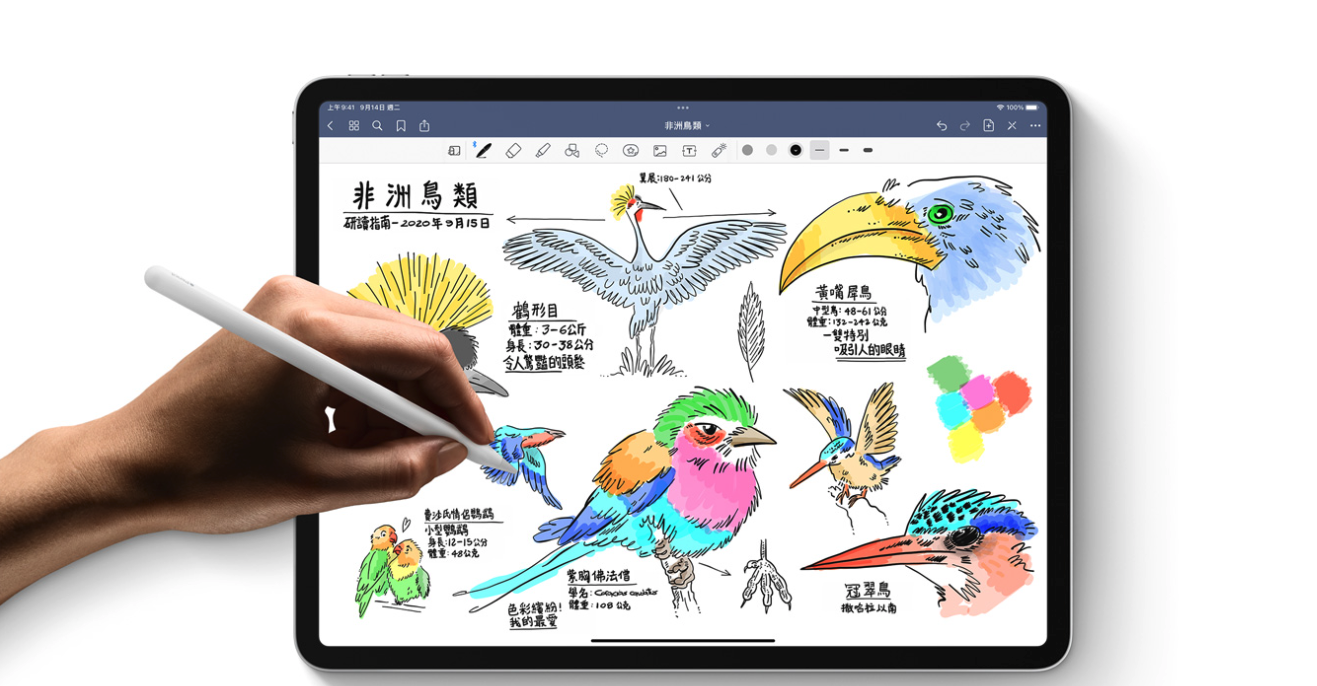 想得到iPad，快用客庄券就對了。翻攝Apple官網