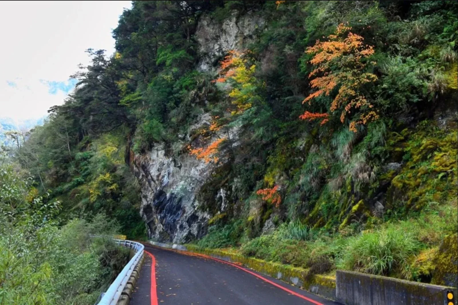 即將通車的南橫，山上美景值得大家走一趟。照片：公路總局甲仙工務段