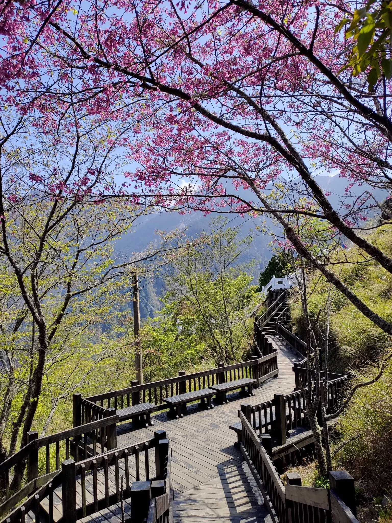 天池、長青祠一帶，也是來南橫必走景點。<br />登高望遠，既有山水的壯麗，也有人文歷史事蹟。照片：公路總局甲仙工務段