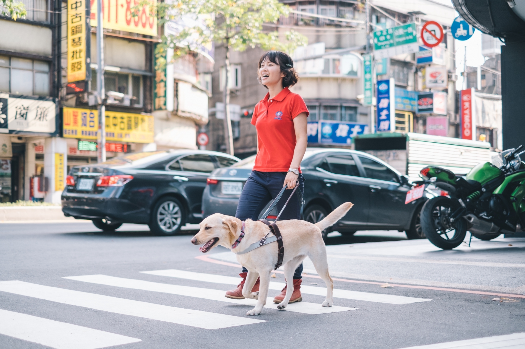 導盲犬必須經過至少1年的訓練,才能成為優秀的開路天使。惠光導盲犬學校提供