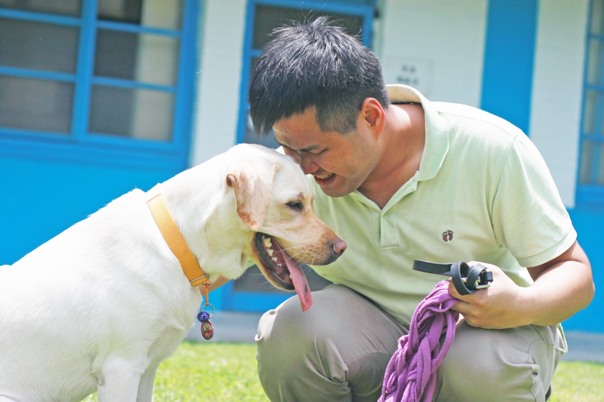 目前台灣合格的導盲犬僅有40多隻,遠低於理想比例。惠光導盲犬學校提供