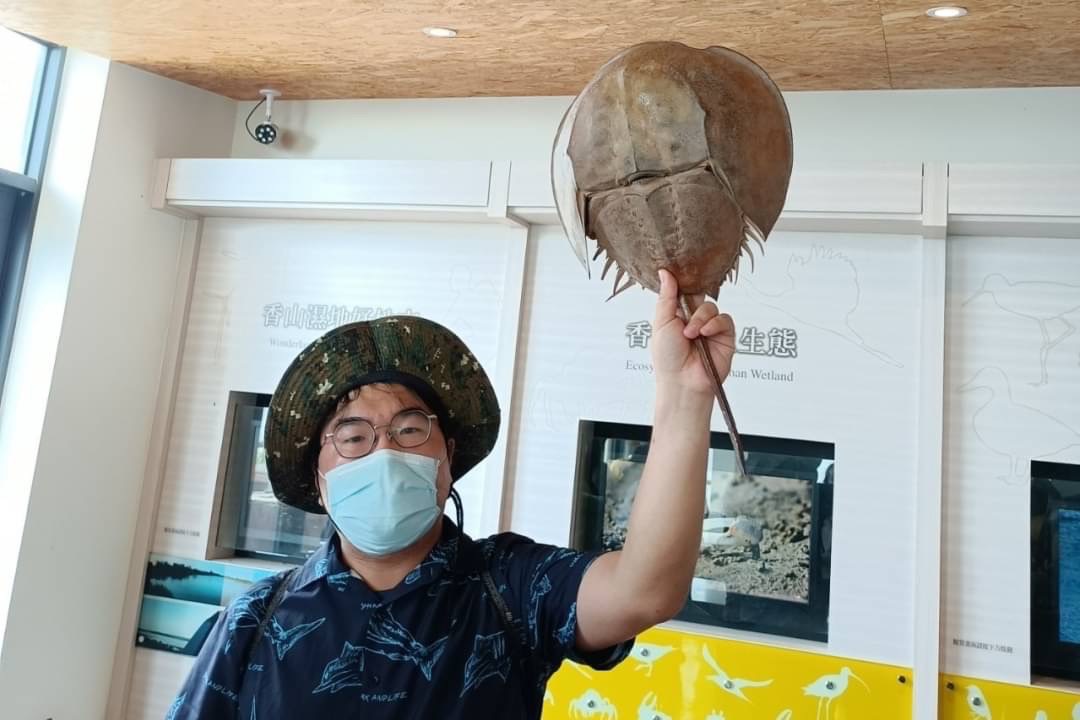 鱟專家楊明哲博士傳授鱟知識。新竹市府提供