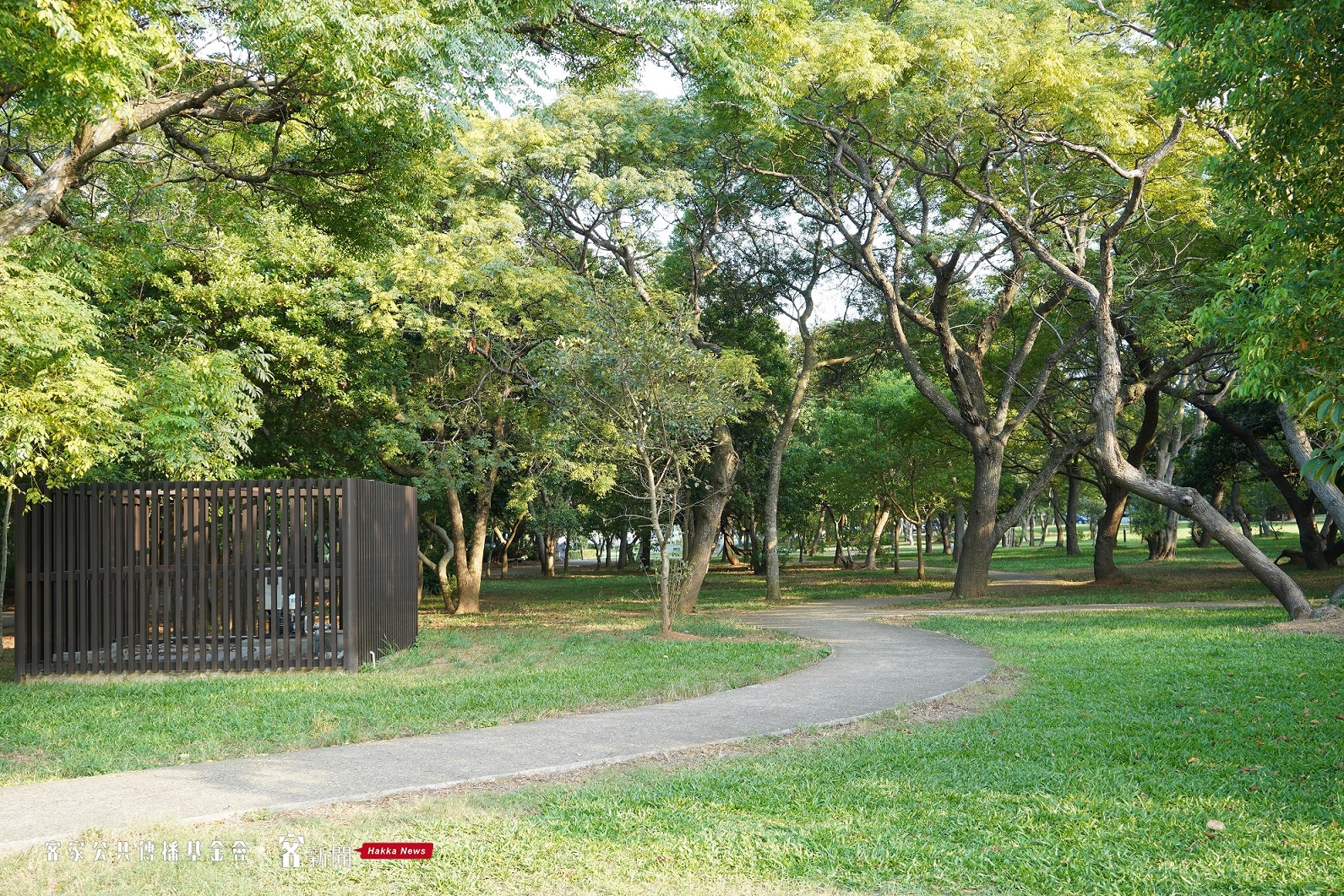 崙坪文化地景園區除了有千坪草皮,也有樹林秘境。李台源攝