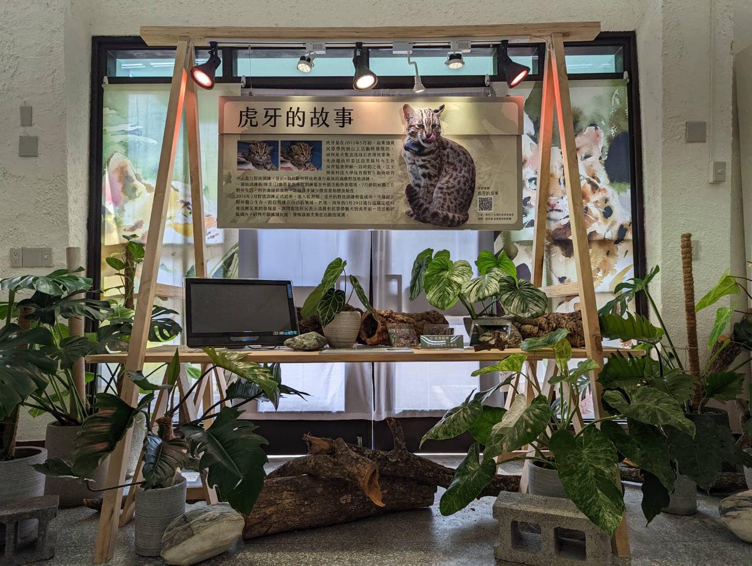 石虎故事，台灣石虎保育協會提供。