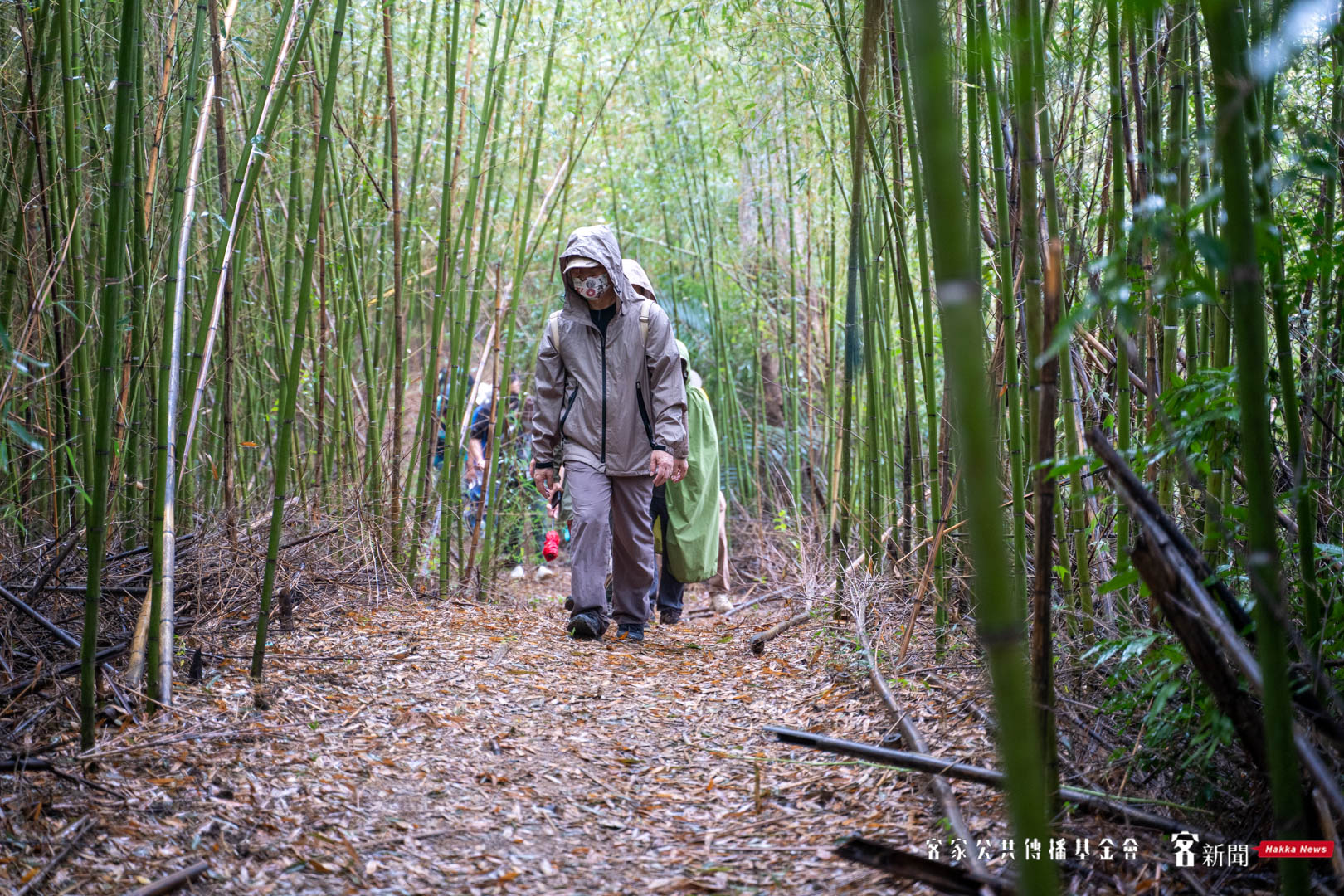 樟之細路老官路段，原為一大片竹林，開闢後這條老官路才修整好。范修語攝