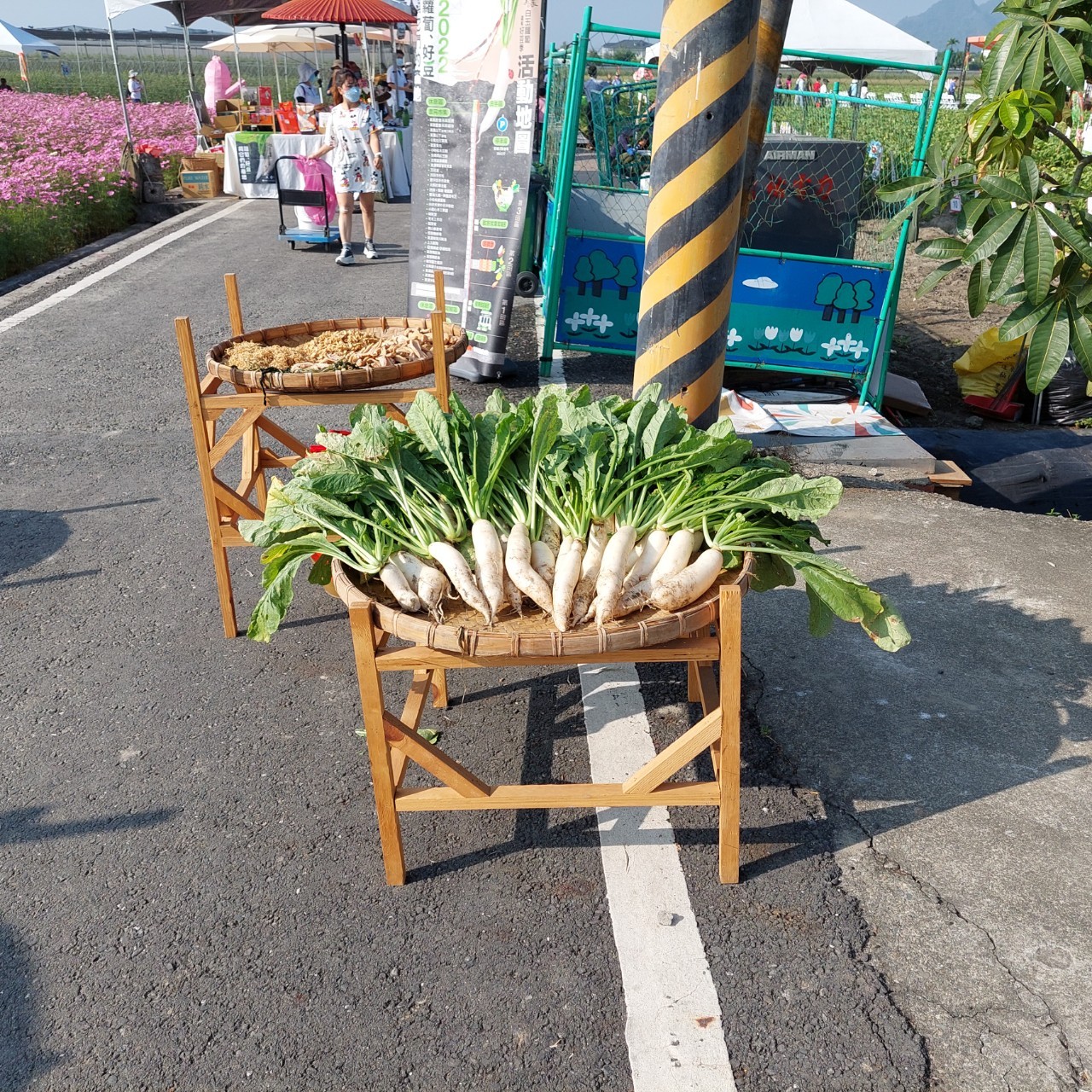 美濃除了粄條外,白玉蘿蔔也是美濃道地的美味食材。洪俊傑攝(資料照)