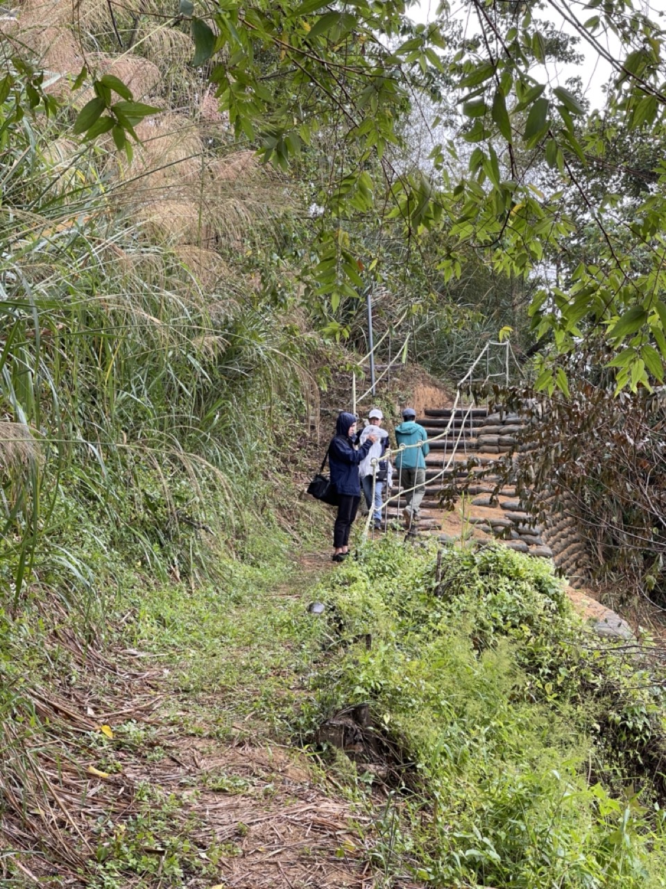 這條路過去荒廢在荒煙蔓草中。莊勝鴻攝