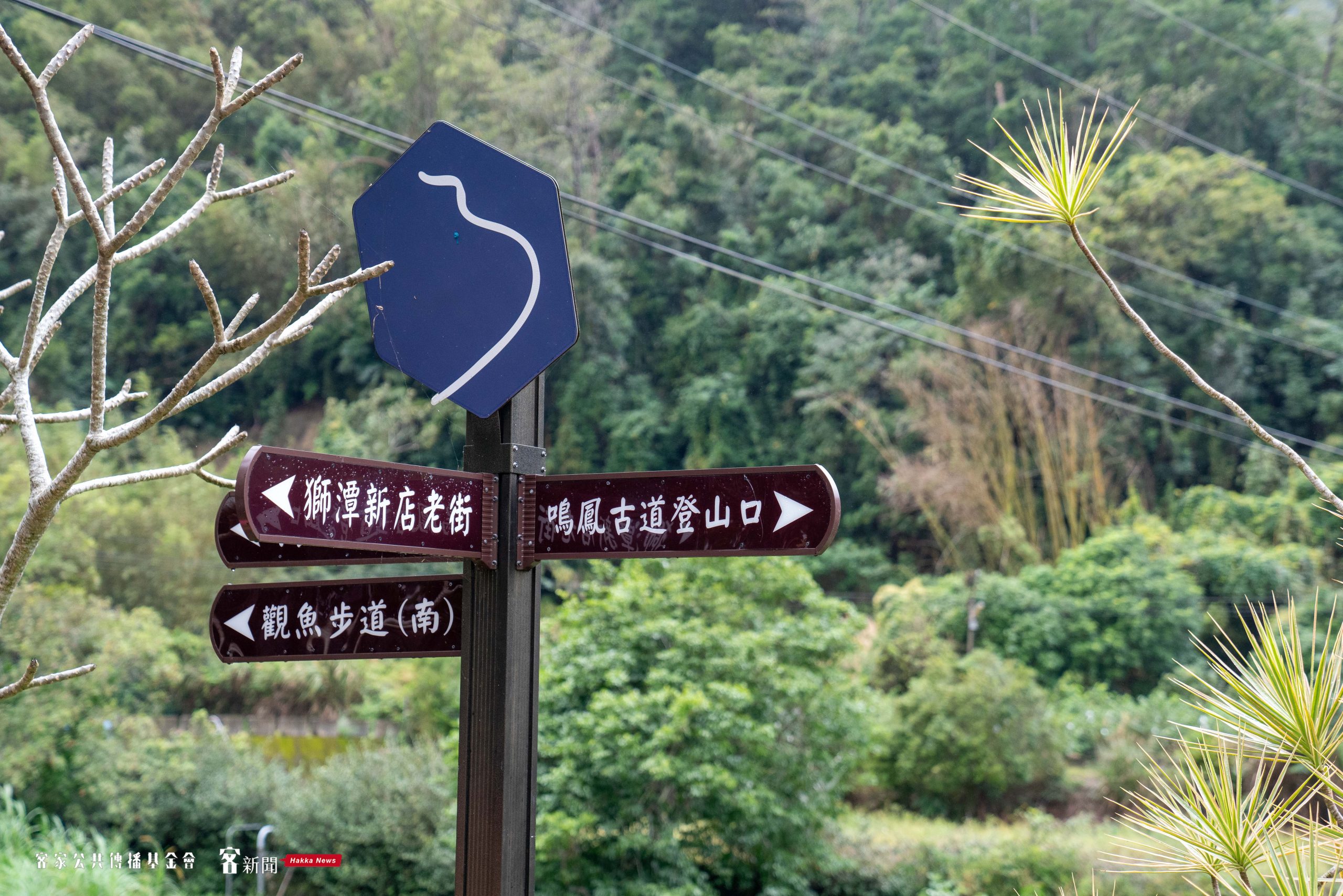 新鳳吊橋旁的台三線路標。李台源攝