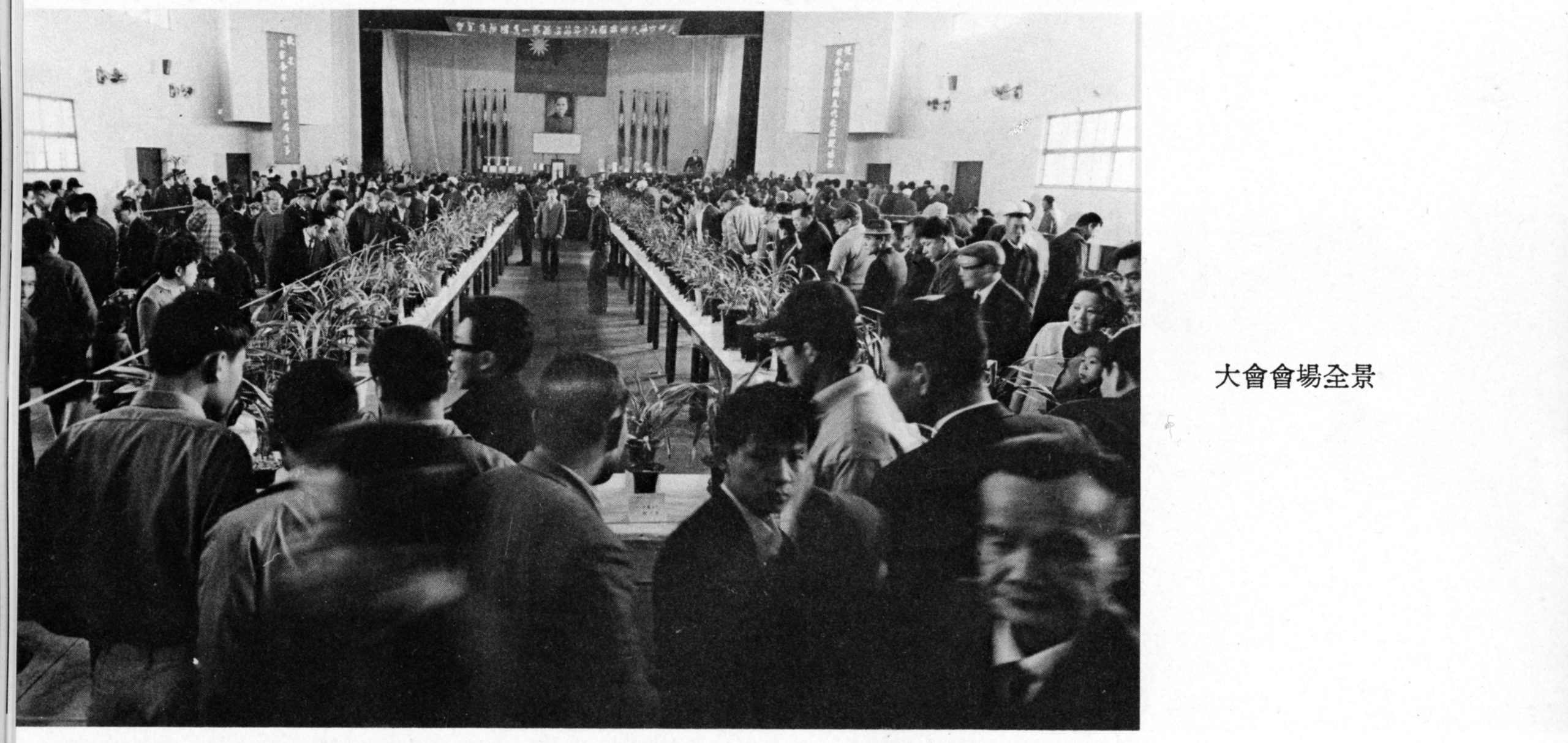 1971年彭雙松主辦國際蘭展的場景。彭文銘提供