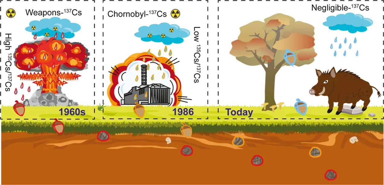 圖解放射性銫在自然界中的循環。翻攝自《Environmental Science & Technology》官方網站