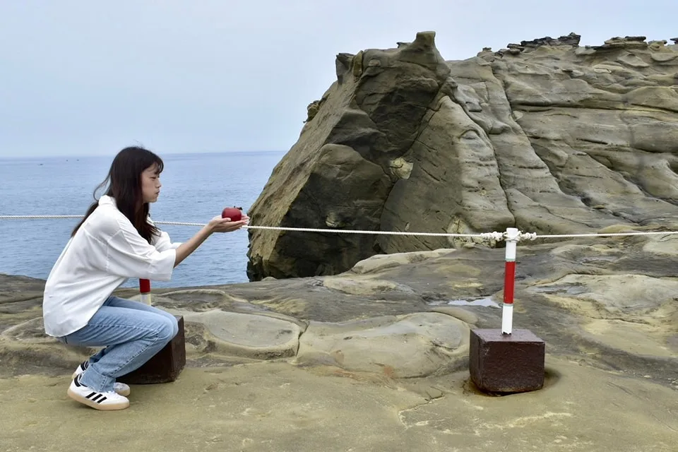 象鼻岩變身超萌水豚君，瑞芳區公所提供大橘子水果道具，讓遊客拍照。瑞芳區公所提供