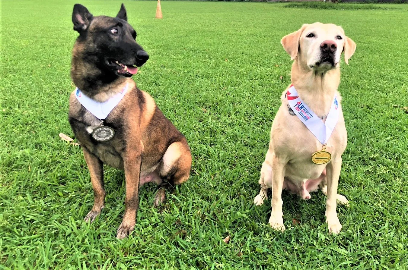 搜救犬守護人類。翻攝自高雄搜救犬隊FB