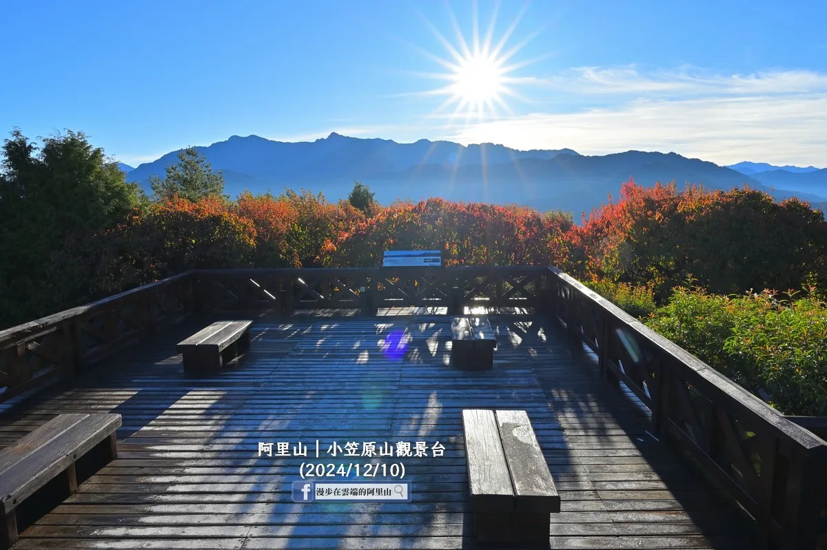 冷氣團報到阿里山楓葉加速轉紅。翻攝自漫步在雲端的阿里山FB