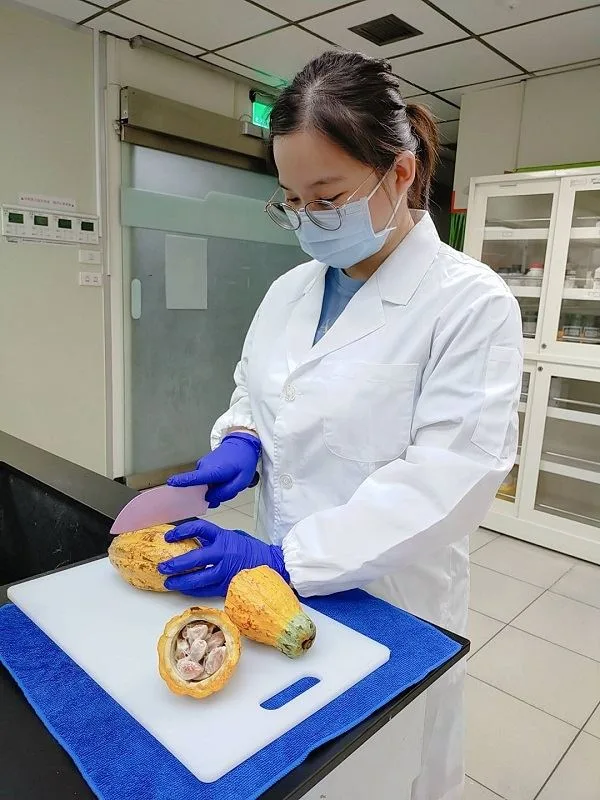 屏東縣檢驗中心與屏科大合作,進行可可豆與園區環境鎘含量調查。屏東縣政府提供
