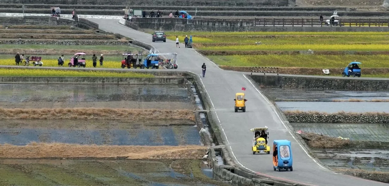 春節連假台東旅遊人氣旺　伯朗大道湧3.8萬人次