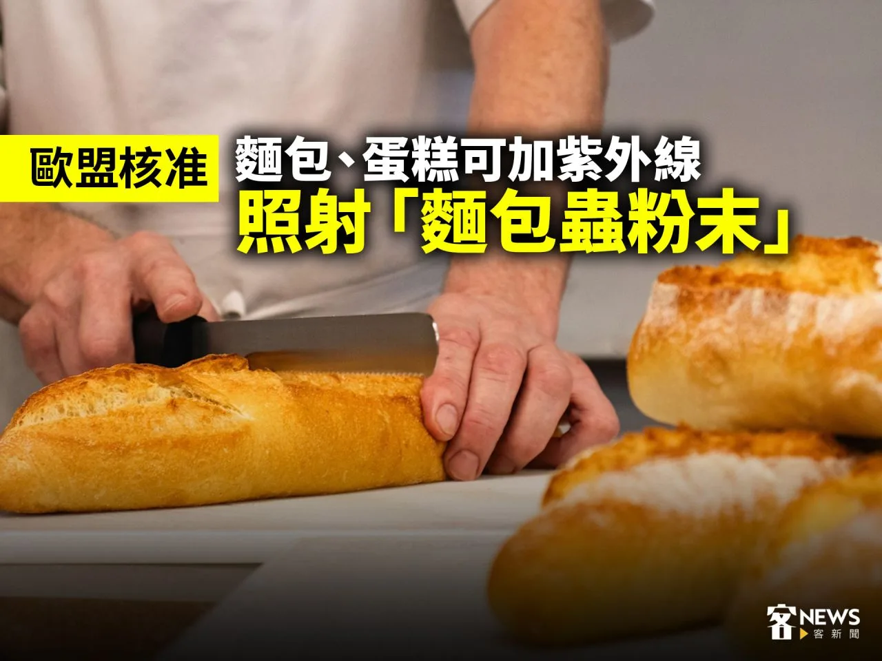 歐盟核准　麵包、蛋糕可添加紫外線照射「麵包蟲粉末」