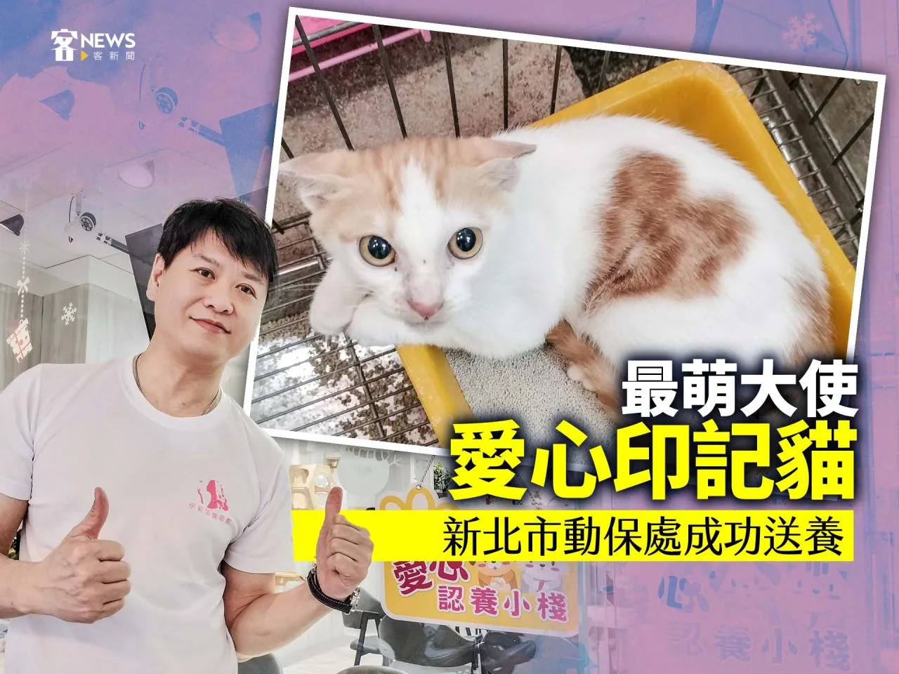 最萌大使「愛心印記貓」　新北市動保處成功送養
