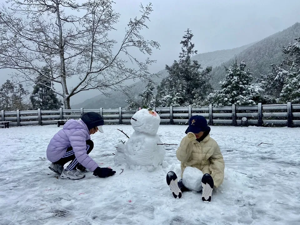 太平山國家森林遊樂區提供
