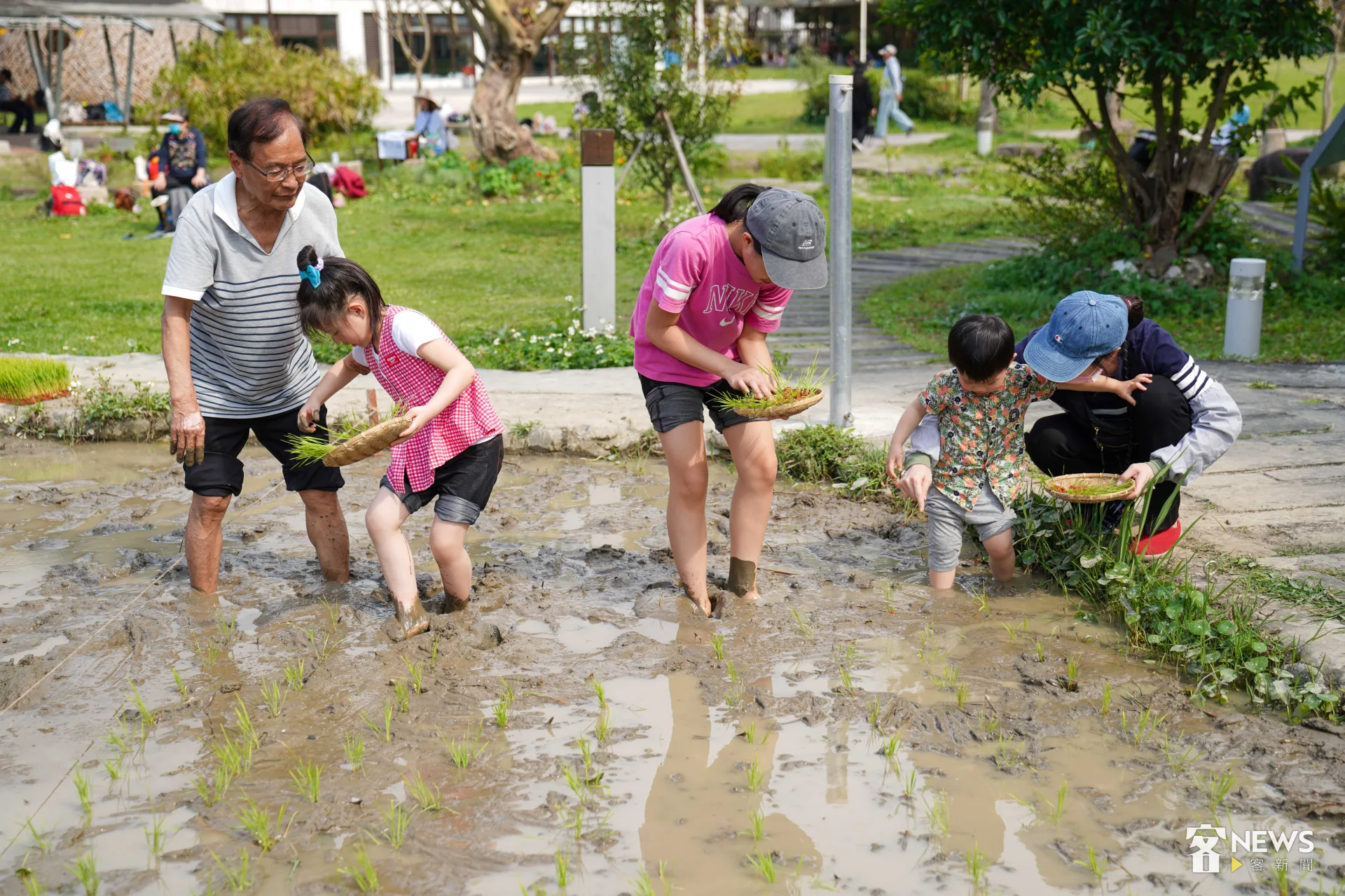 根據觀光署統計,2024年國人人均旅次提升至10.46次,再加上連假訂房呈現區域與時間分散的特性,反映國人旅遊行為已由過去集中假期的「擠壓式出遊」,轉向日常化、彈性安排的「短時、多次」生活型旅遊。圖為親子參與蒔田。李台源攝