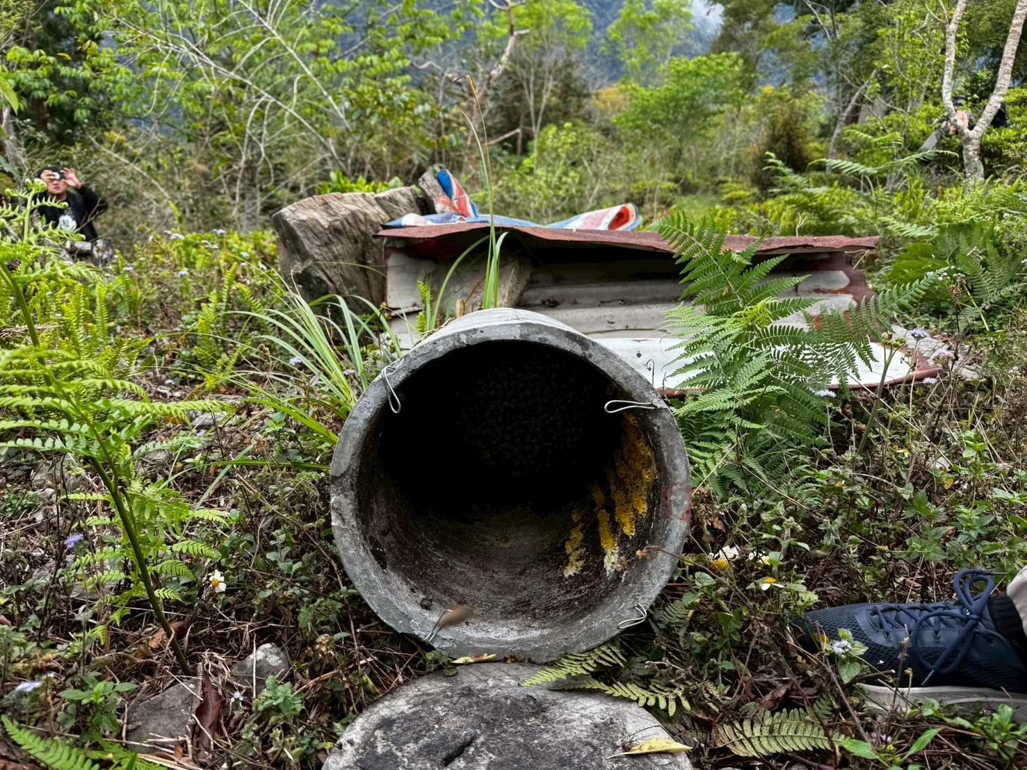 遭黑熊破壞取食之蜂箱（水泥製）。林業保育署屏東分署提供