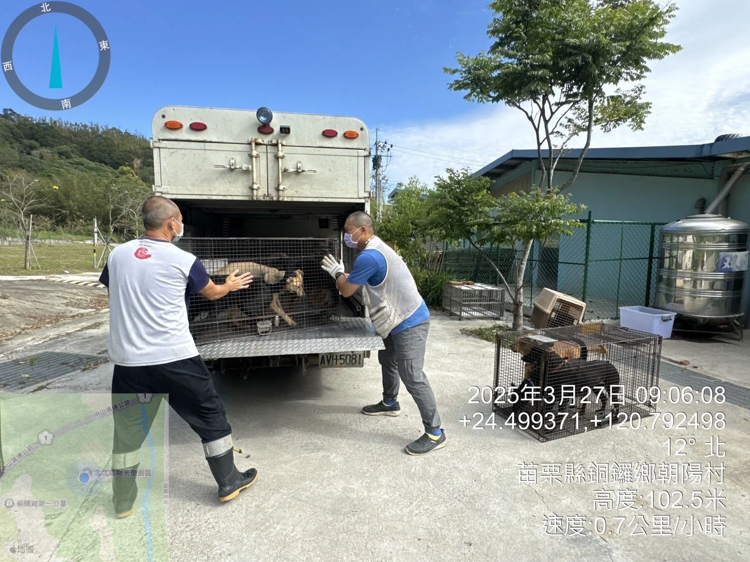 苗栗縣動物保護防疫所出招，透過適當的訓練，讓收容犬能夠成為果園工作犬。苗栗縣動物保護防疫所提供