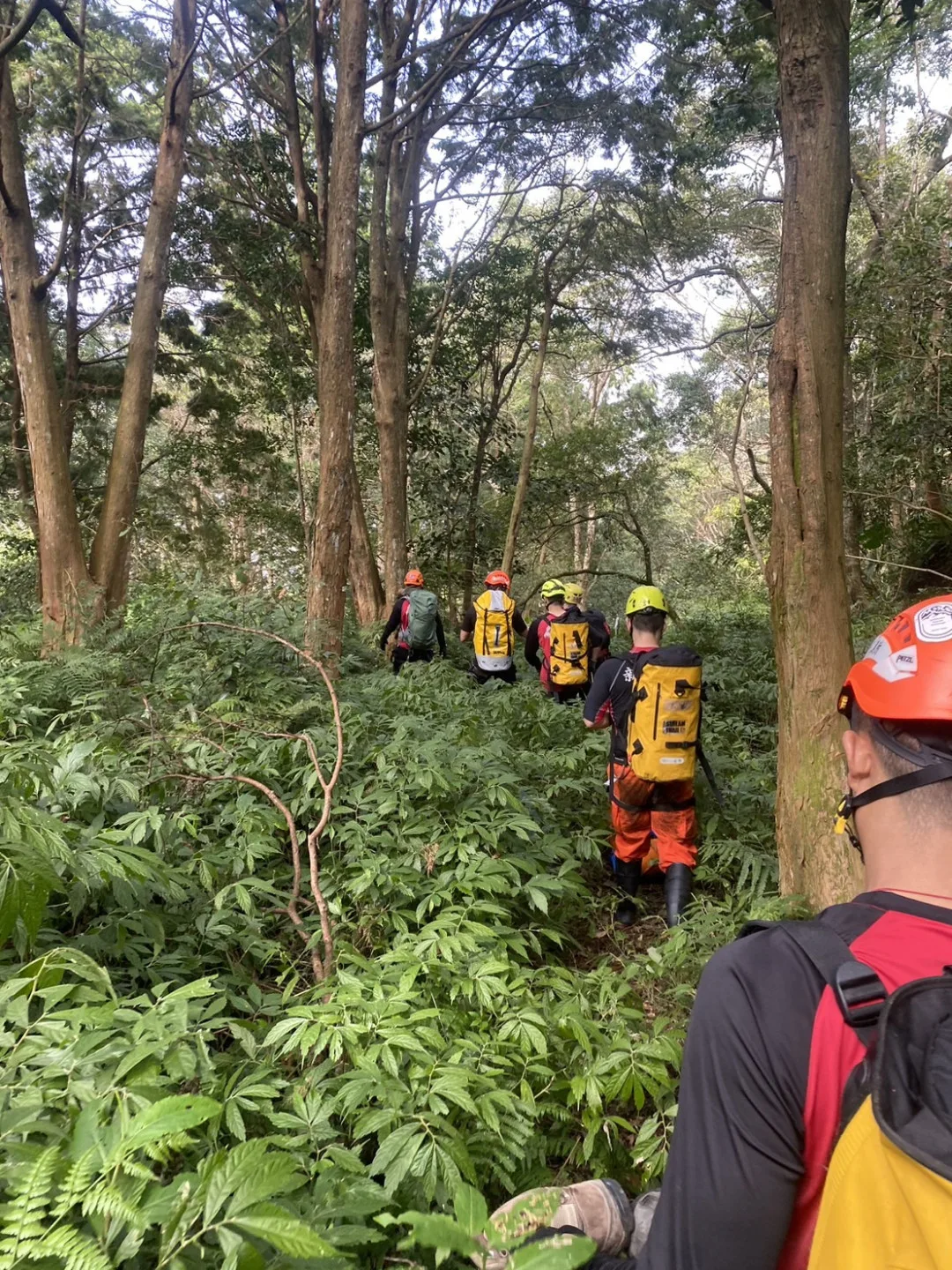 新竹縣轄內有許多熱門登山景點，山友務必重視登山安全。翻攝自新竹縣政府消防局山難搜救隊 臉書