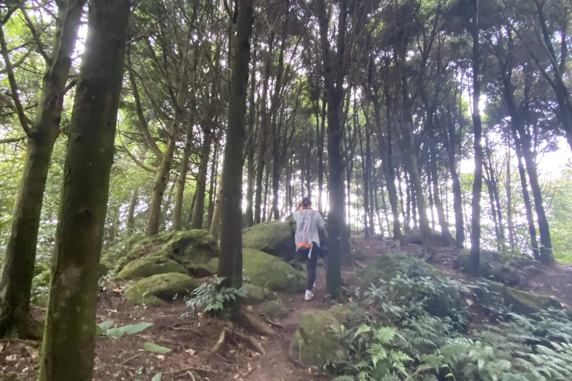 登山事故頻傳，竹縣消防呼籲山友「事前完善計畫」。新竹縣政府消防局提供