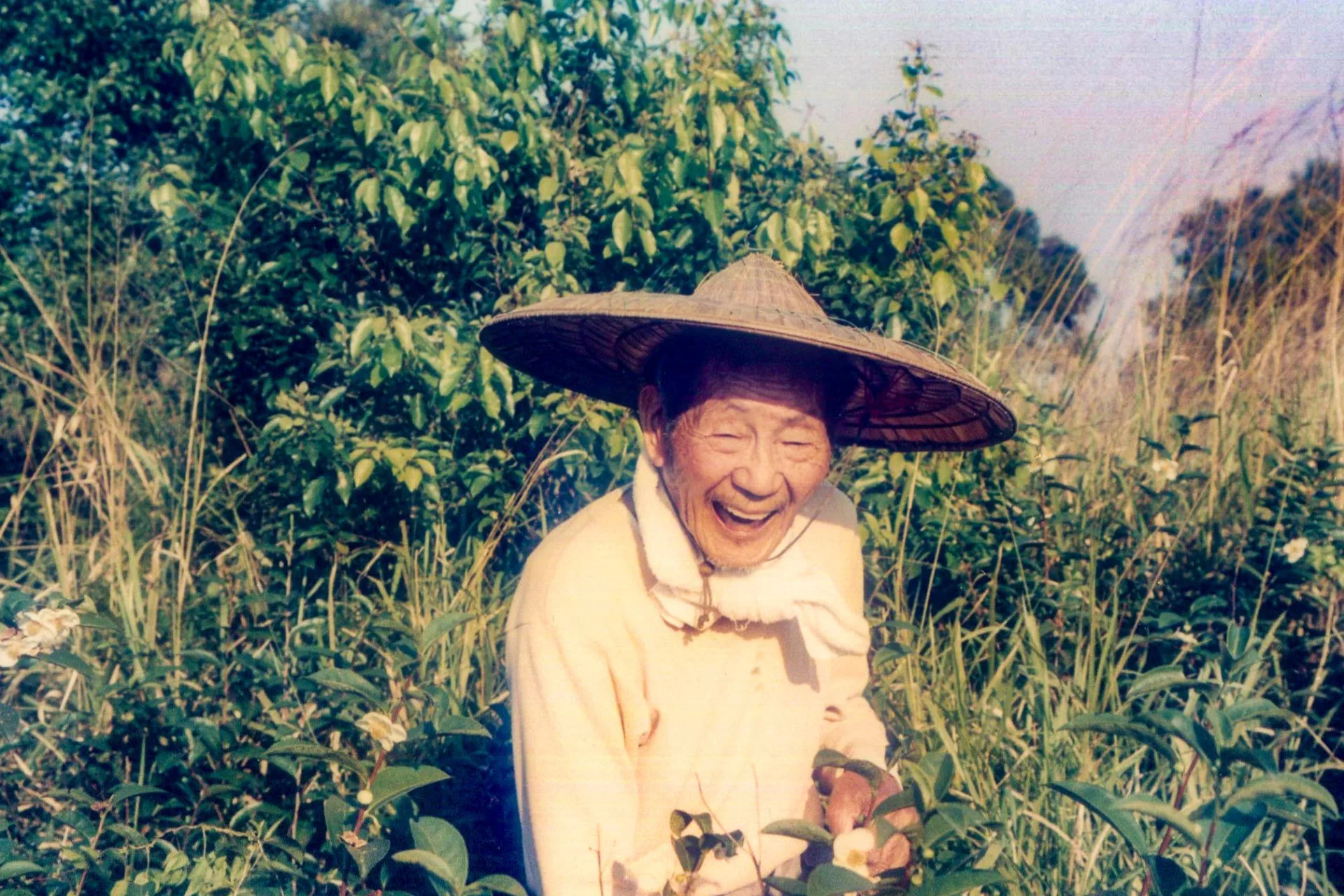 賴錦竹是邱雲興的女婿,當選第二屆苗栗鎮長,他是「苗栗詩仙」賴江質的弟弟,他自喻「採茶仙」,老年仍種茶,愛唱山歌自娛。何來美攝