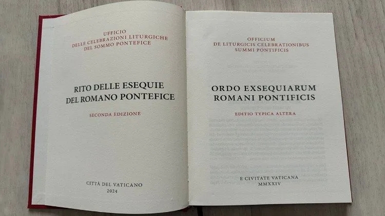 翻攝Vatican News網站