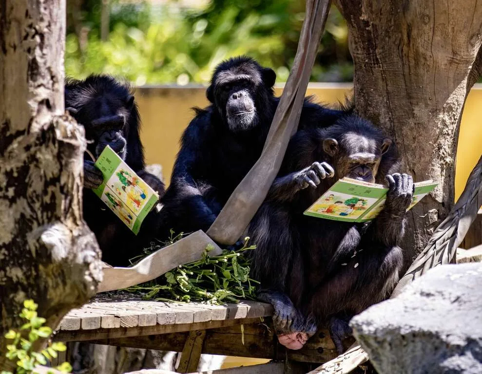 響應世界閱讀日,壽山動物園特製「可食書」。壽山動物園提供