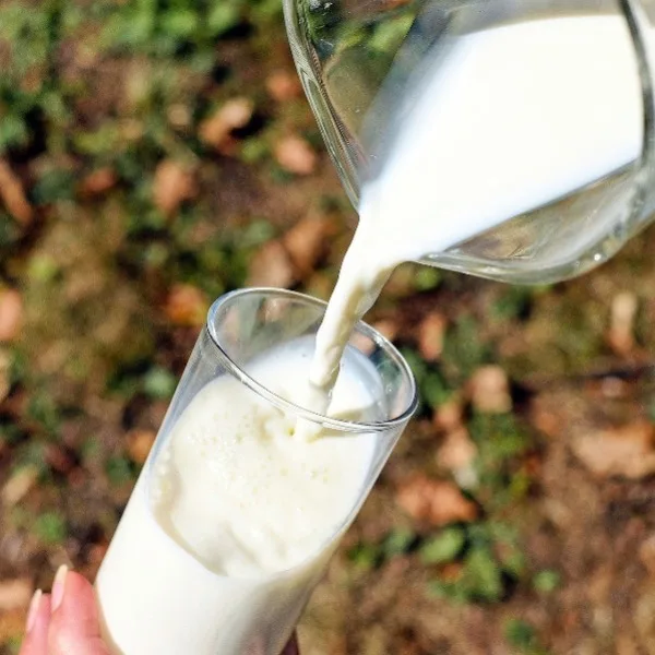 紐西蘭進口乳來台零關稅,但是市場鮮乳價格仍居高不下,消基會今天說,農業部、經濟部應對乳品市場進行全面調查分析並提出解決方案,讓台灣的鮮乳價格回歸合理水準。示意圖,消費者文教基金會提供