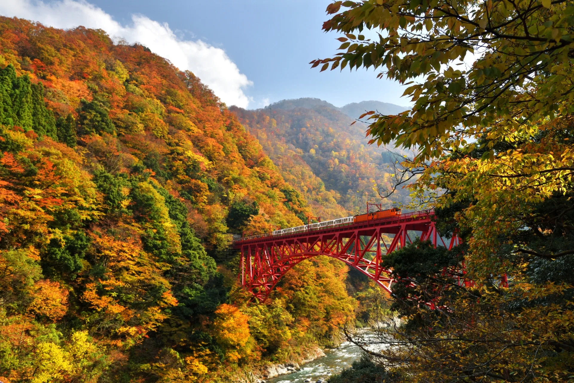 黑部峽谷鐵道美景。阿里山林鐵及文資處提供