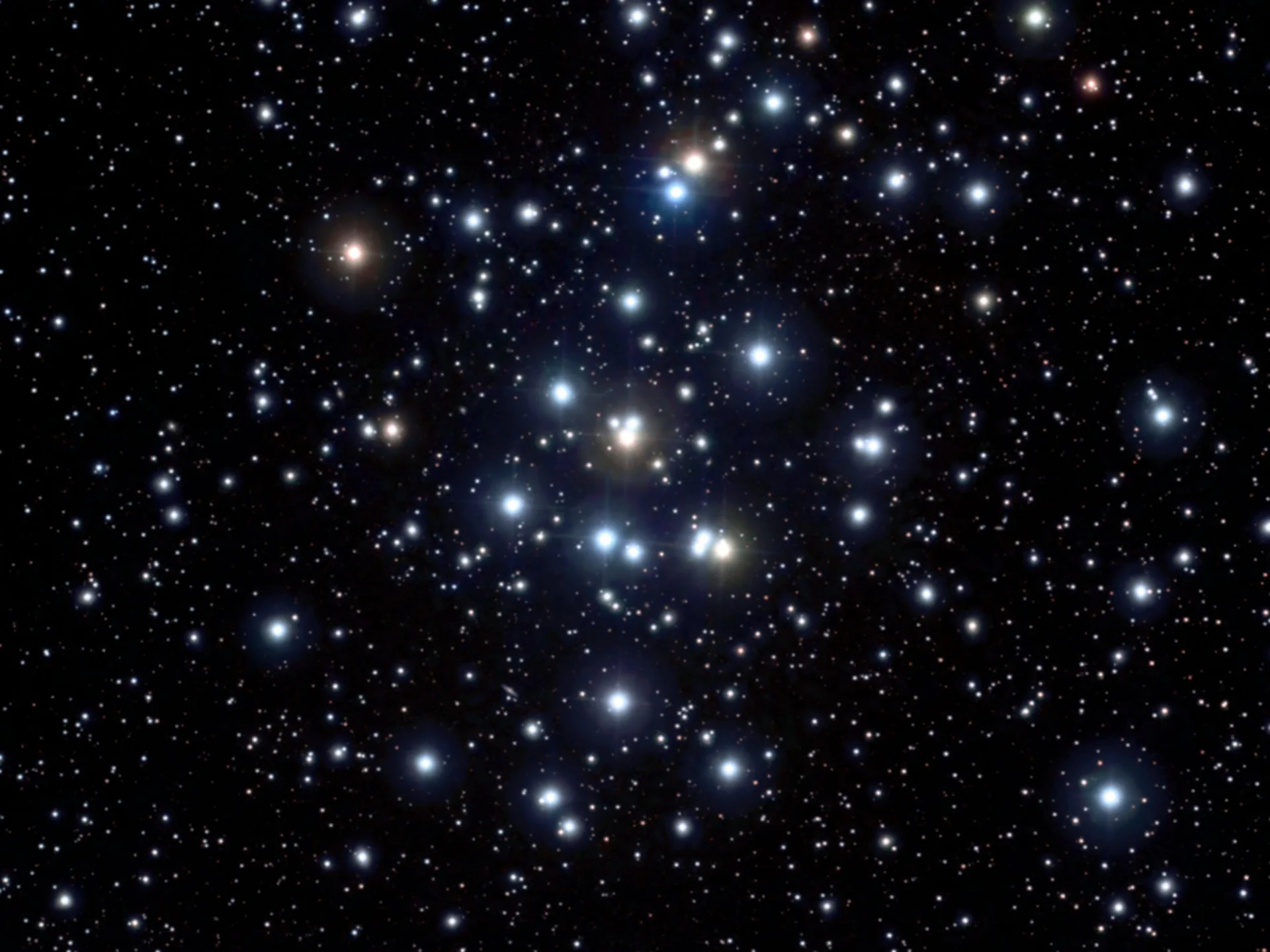 鬼宿星團M44示意圖。翻攝自Stellarium,圖片上方為北。