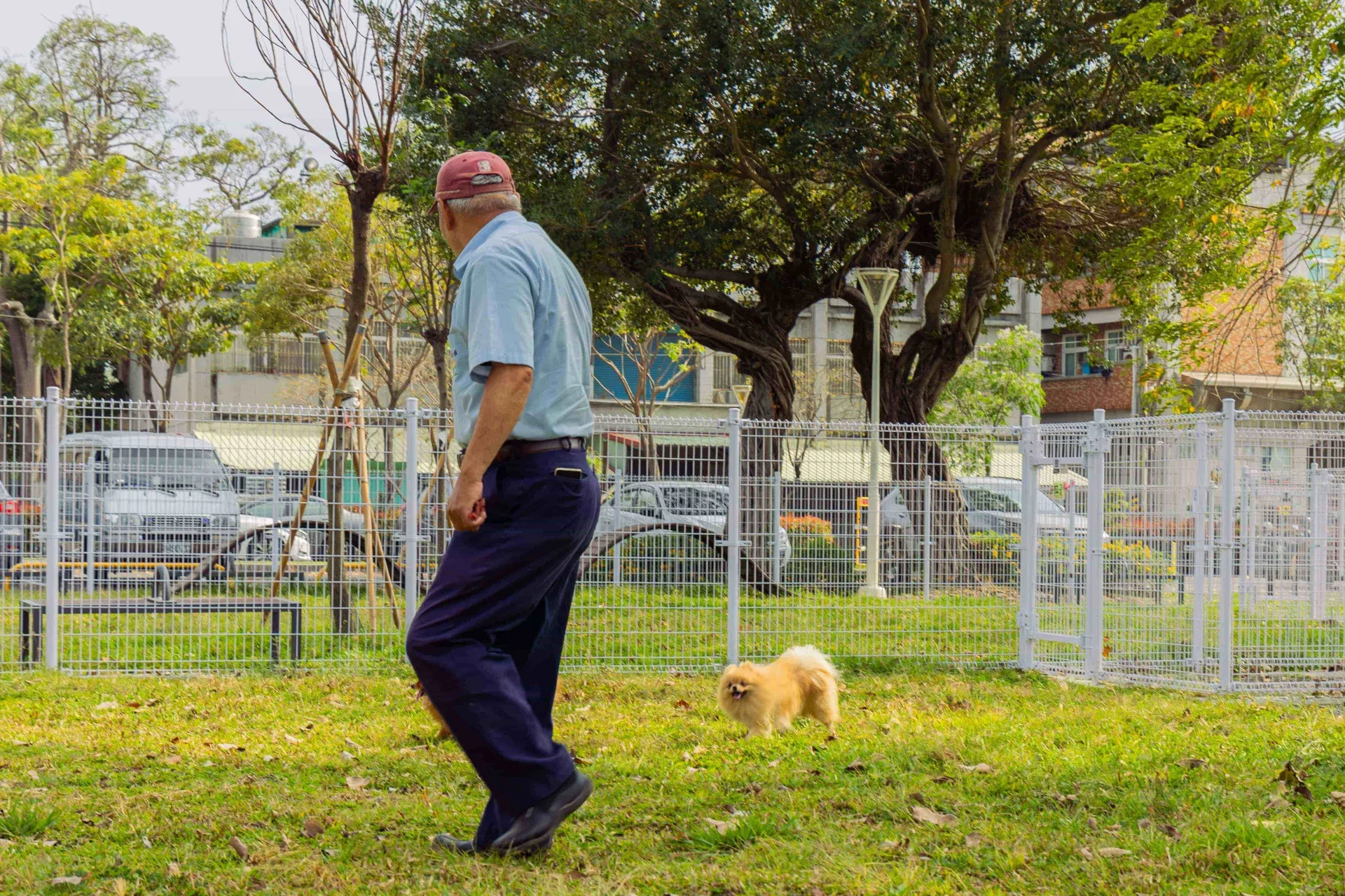 新設的寵物活動區依犬隻體型分為大小犬活動空間。高雄市工務局公園處提供