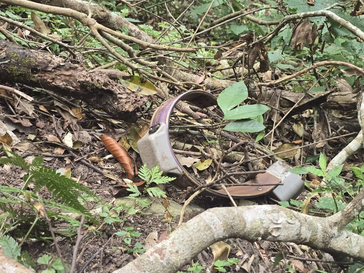 頸圈。林保署花蓮分署提供
