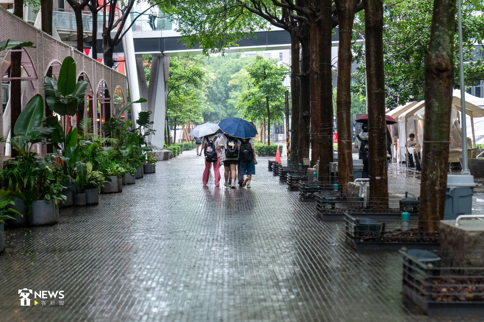 氣象署今（20）天針對北北基宜發布大雨特報。天氣、下雨、雨天。示意圖。洪藝晅攝