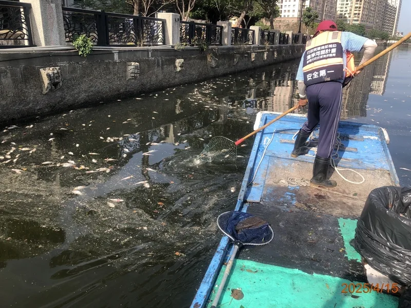 溫差變化水中溶氧下降,台南運河清除10噸死魚。台南市政府提供