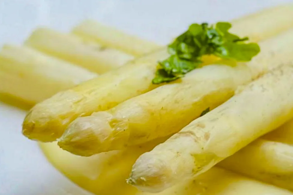 歐陸料理中常看見的蘆筍料理,典型來自「龐巴度的蘆筍」吃法。蕭秀琴攝
