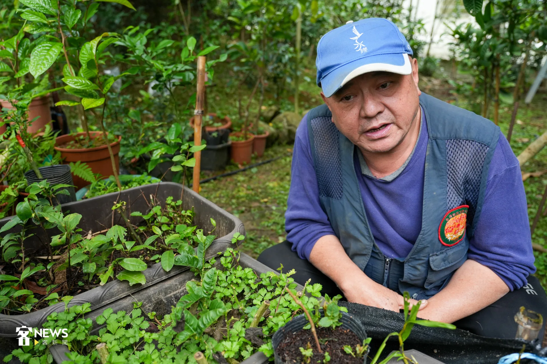 劉還月頭戴水磜社區字樣的鴨舌帽，一身便於從事農活的裝束。蔡依璇攝
