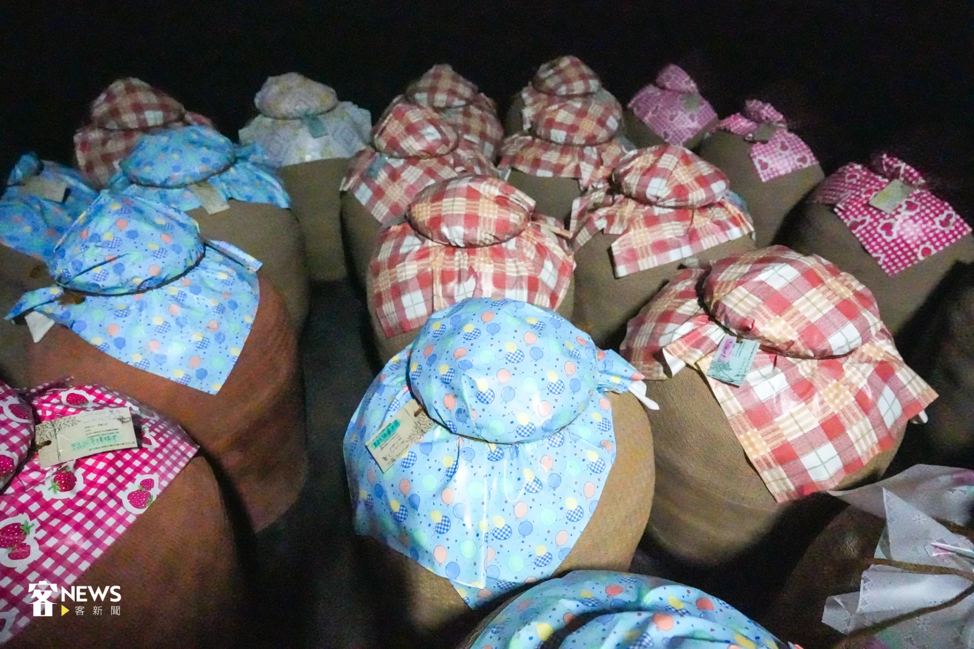 打開陳茶室，一陣撲鼻清香襲來。蔡依璇攝