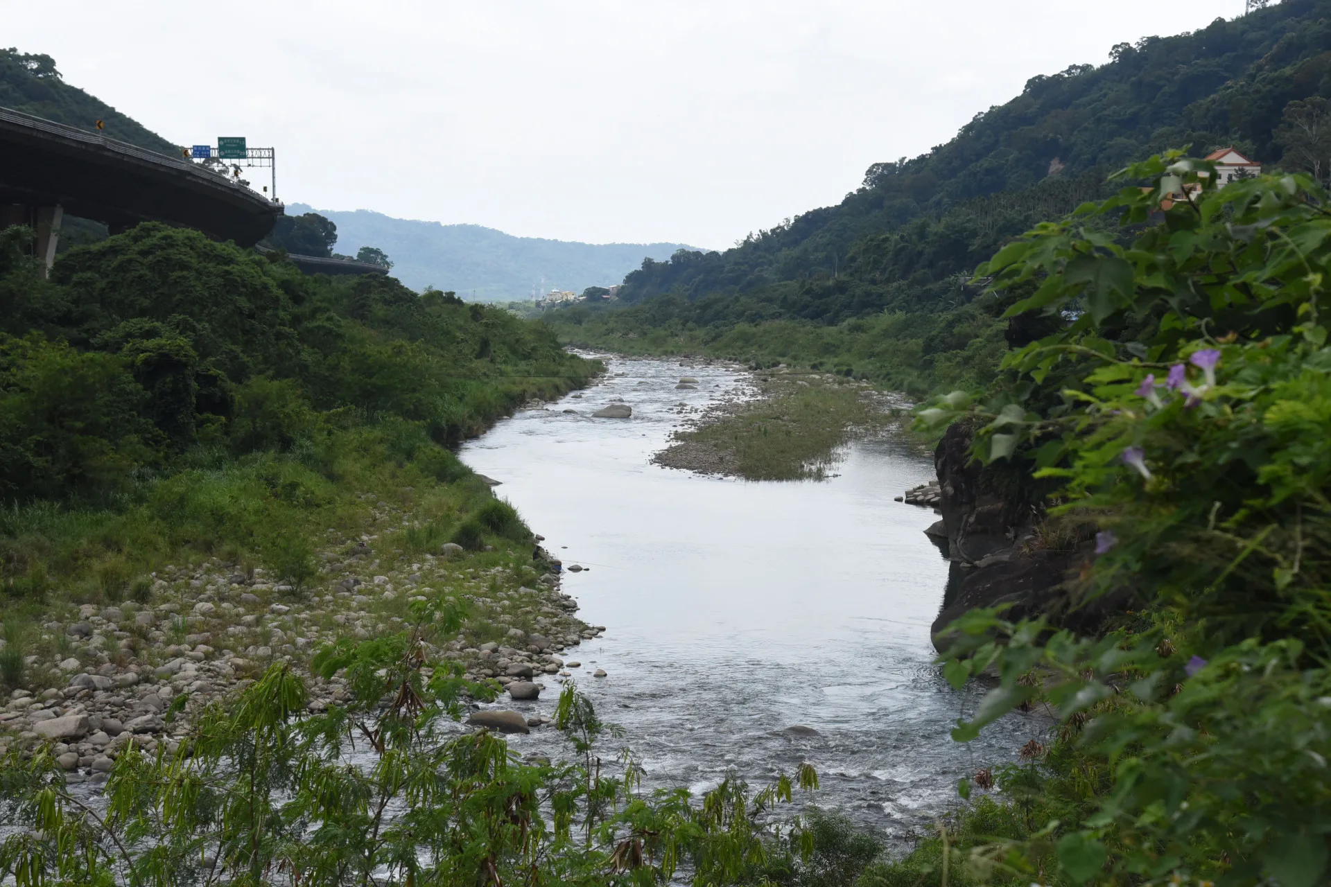 後龍溪公館打鹿坑引水隧道預定地點。