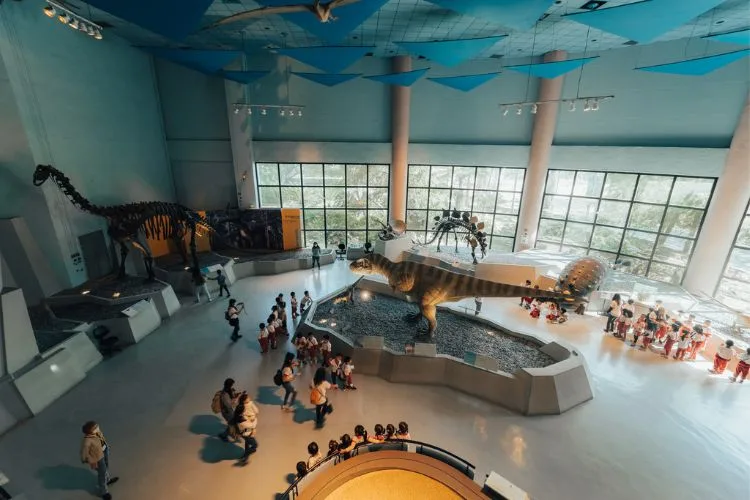 科博館展示場包含生命科學廳、人類文化廳、地球環境廳。國立自然科學博物館提供