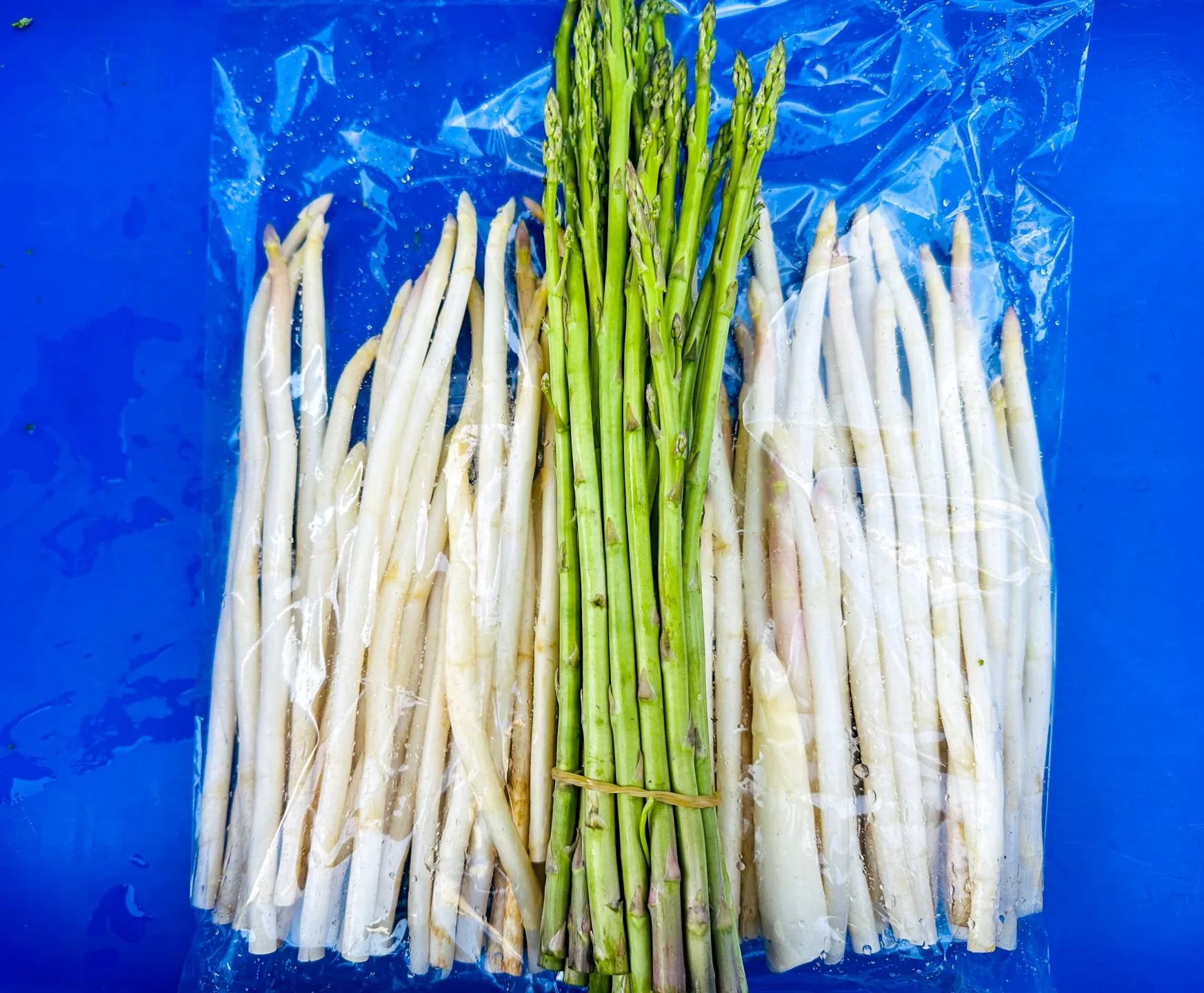 台灣菜市場上比較常見的蘆筍樣子。蕭秀琴攝