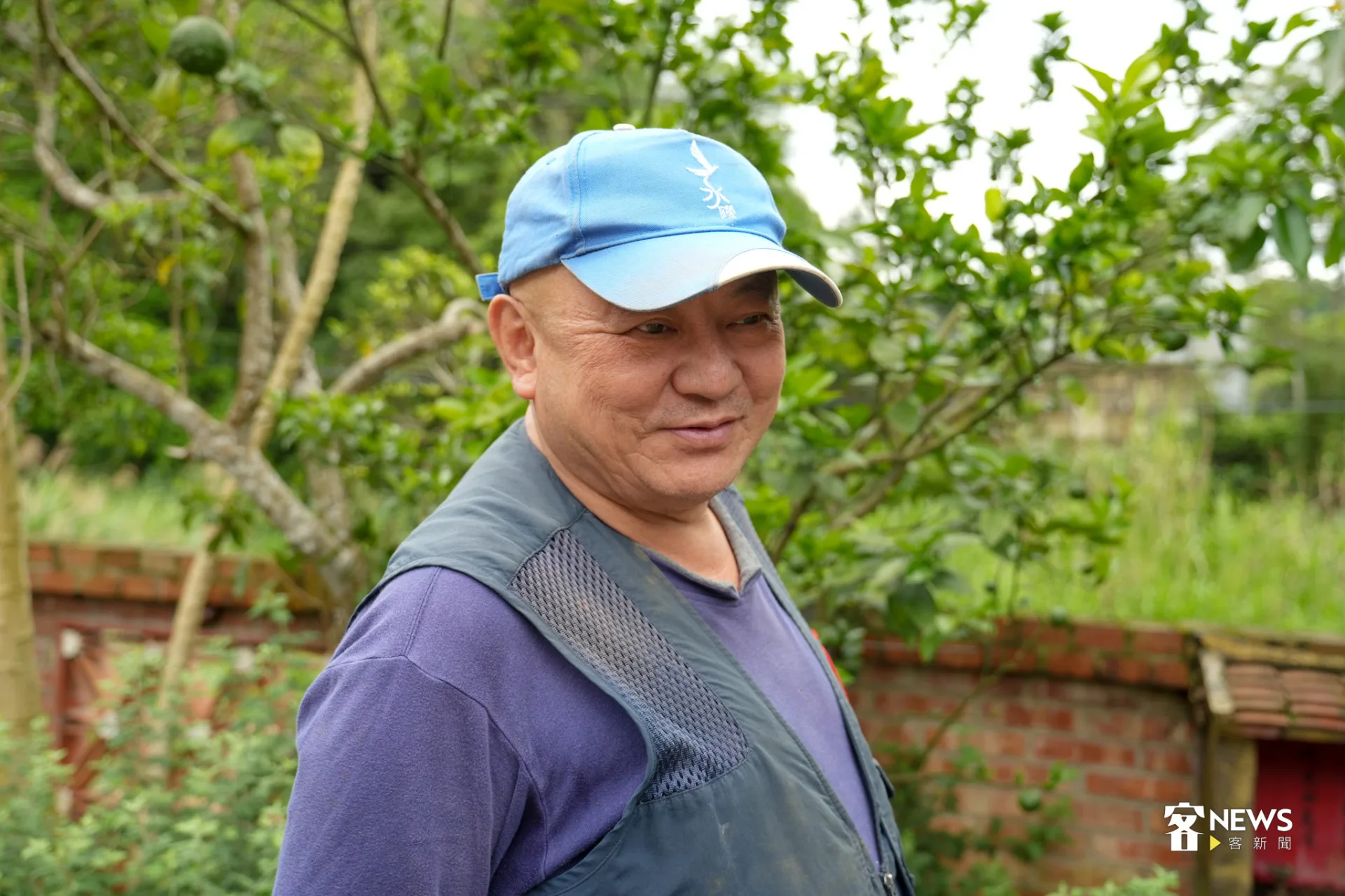 劉還月從報導文學、民俗文化轉向賣茶，致力推廣客家酸柑茶。蔡依璇攝