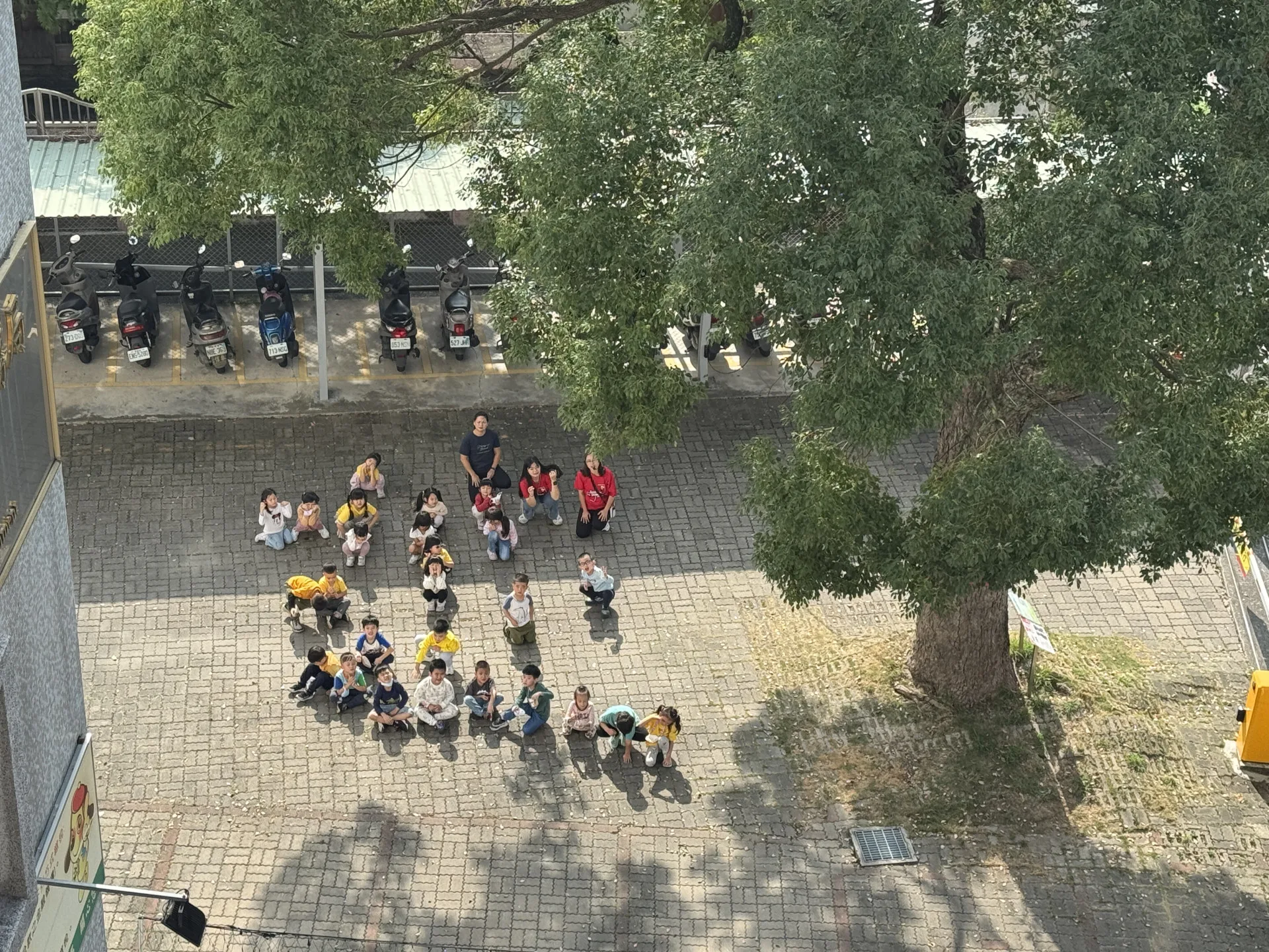 芝麻街幼兒園幼童排出「芝」字向百年樟樹致敬。台中市政府提供