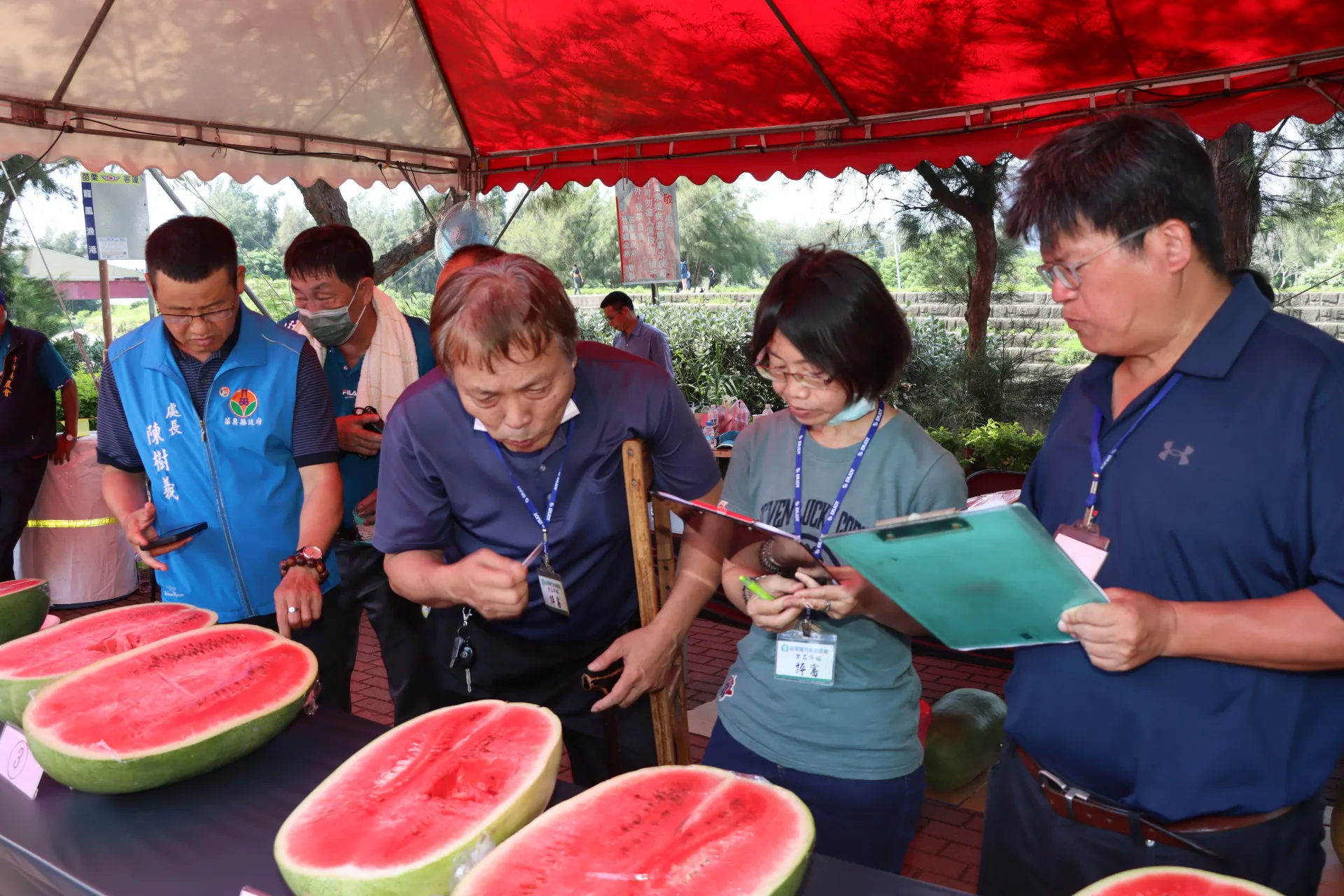 竹南西瓜節的西瓜評鑑。