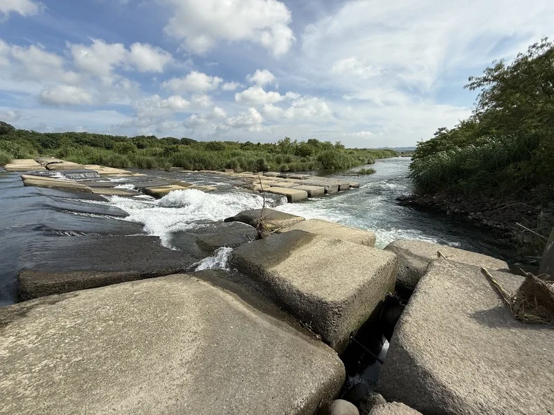 消波塊、河道急流區域尤其危險，應避免跳水或在無救援設施區進行活動。中央社