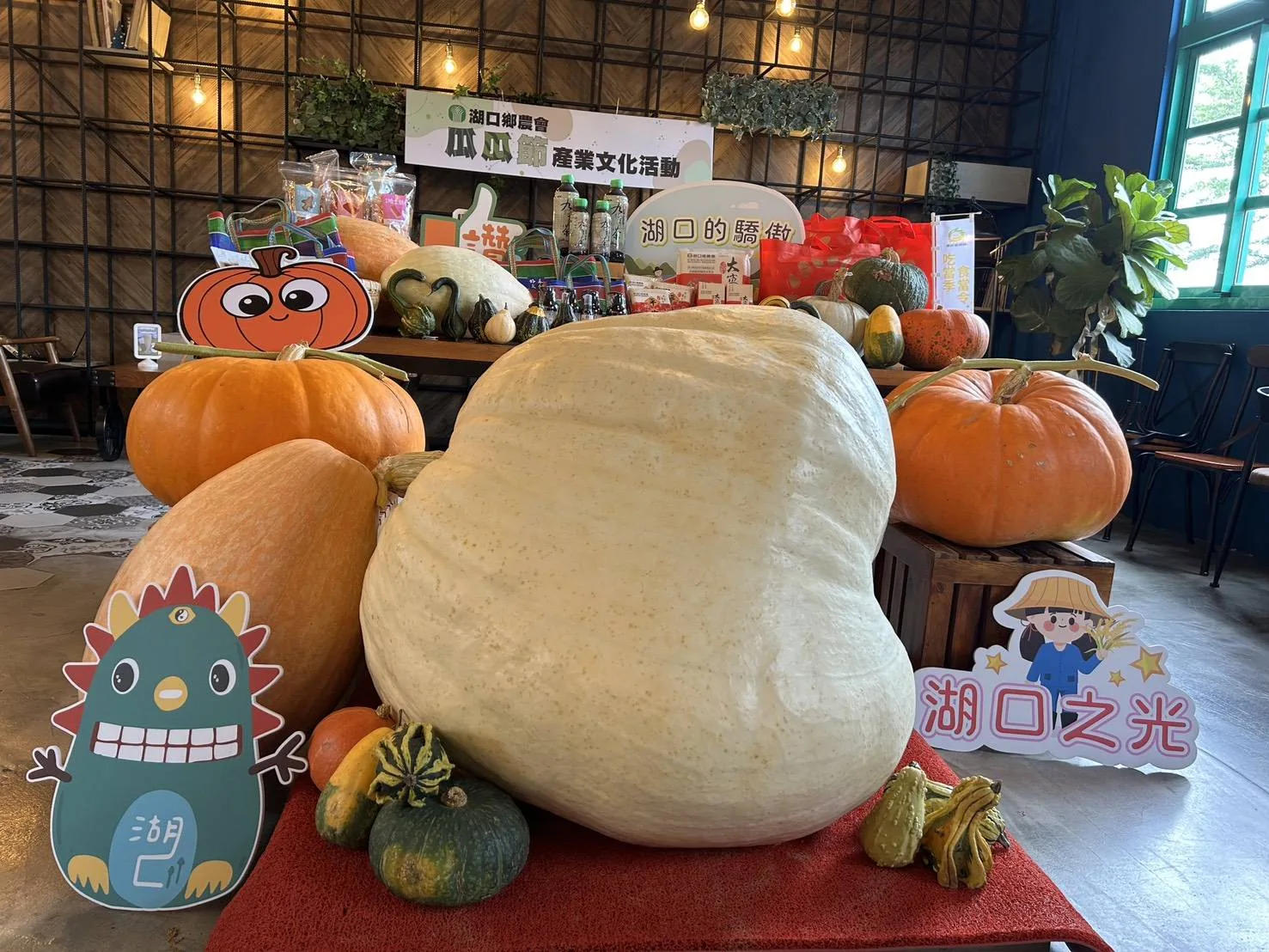 新竹湖口鄉瓜瓜節展示重達458斤巨大南瓜。竹縣府提供