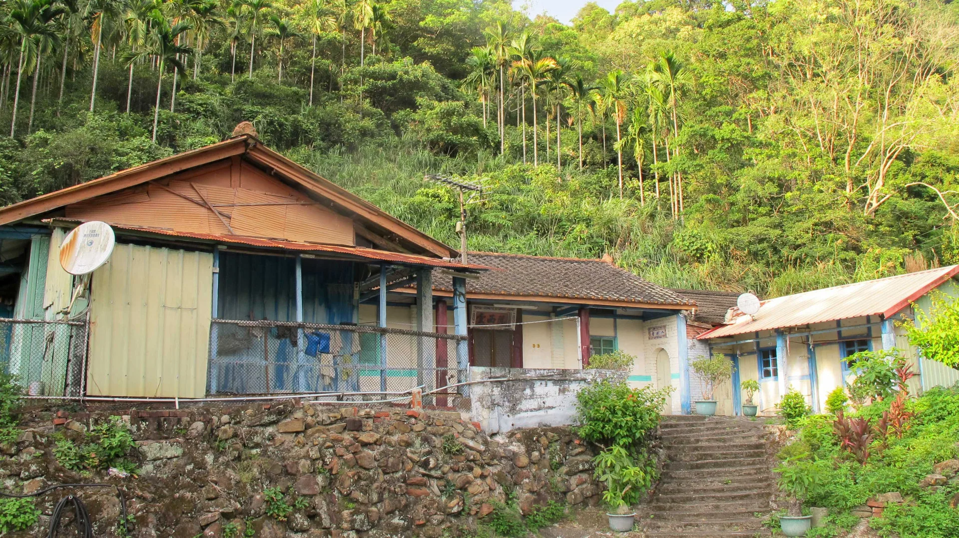 李達水返台後一直住在獅潭大東勢山區,活到94高齡終老。何來美攝