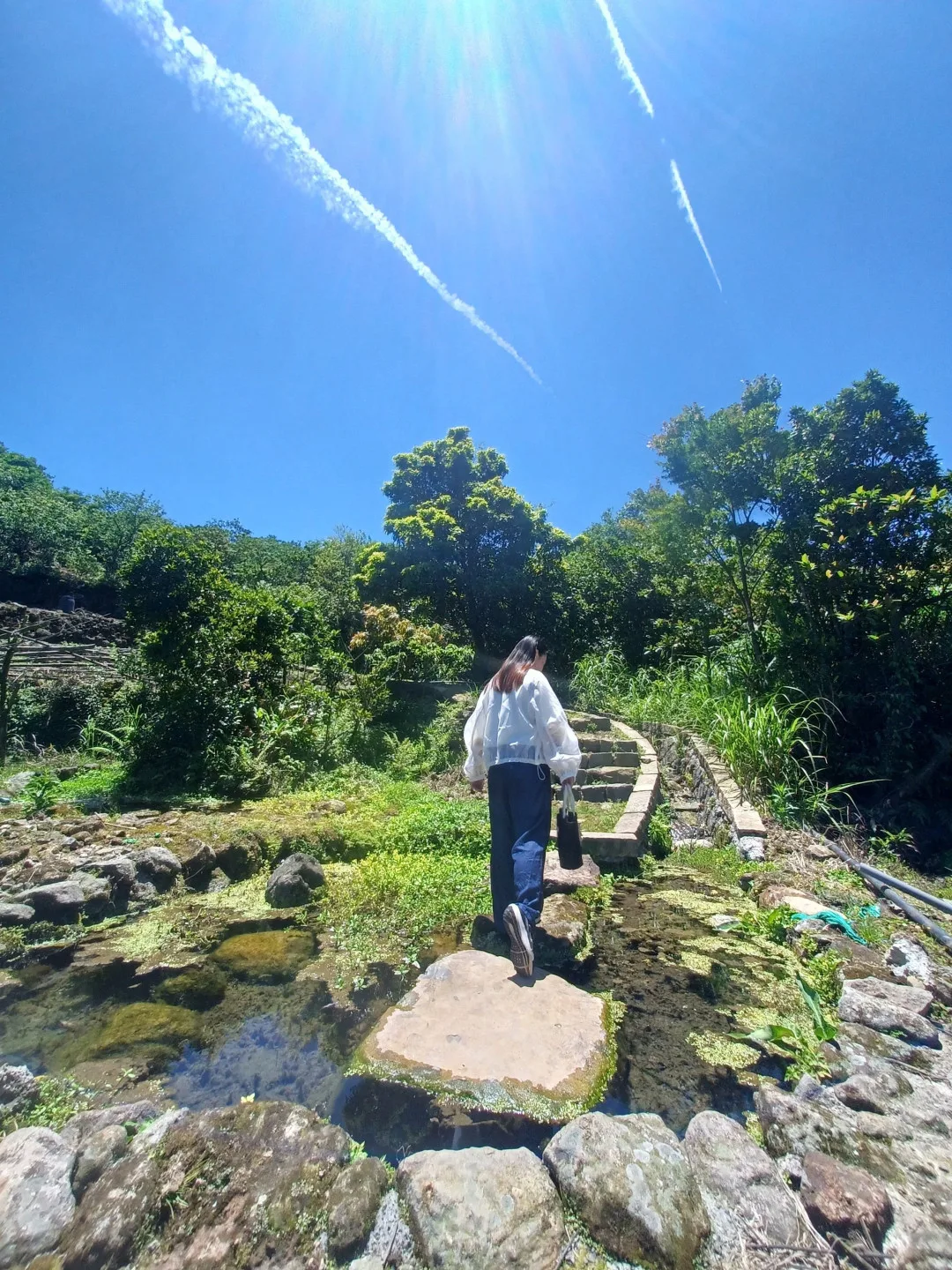 歡迎旅客造訪北投,感受湖田花海、水圳步道的獨特魅力。台北市政府工務局提供